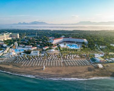 SELECTUM NOA BELEK